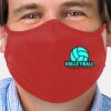 B-Core 3-Ply Mask Thumbnail